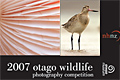 Otago Wildlife Photography Competition